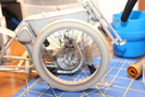 IMG 0861